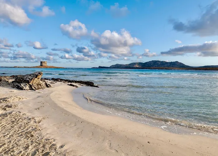 With Air Conditioning And Private Outdoor Area Just A Few Minutes From La Pelosa 公寓式酒店 3*