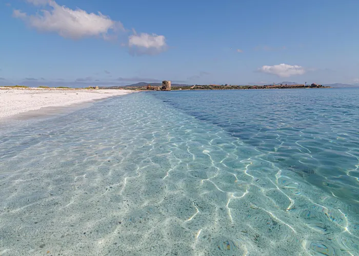 With Air Conditioning And Private Outdoor Area Just A Few Minutes From La Pelosa 公寓式酒店 Punta de su Torrione